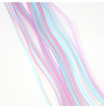 Load image into Gallery viewer, Millennial Sweetheart Spice Girls Gradient Color Ear-Hanging Dye Wig