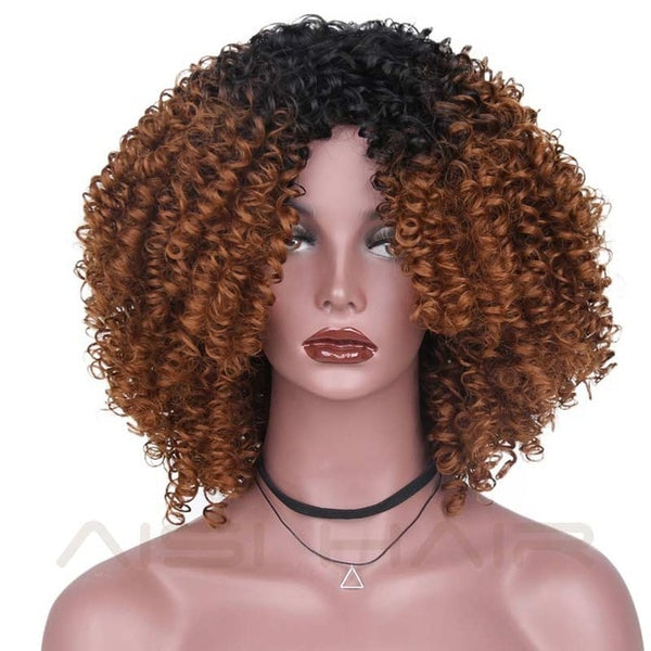 AISI HAIR Afro Kinky Curly Wig Synthetic Wigs for Women Black Natural Afro Hair Free Shipping