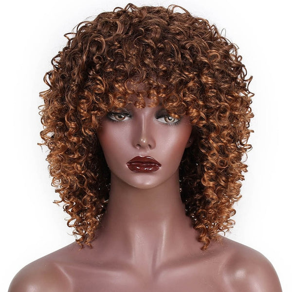 AISI HAIR Afro Kinky Curly Wig Synthetic Wigs for Women Black Natural Afro Hair Free Shipping
