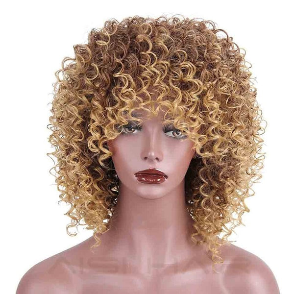 AISI HAIR Afro Kinky Curly Wig Synthetic Wigs for Women Black Natural Afro Hair Free Shipping