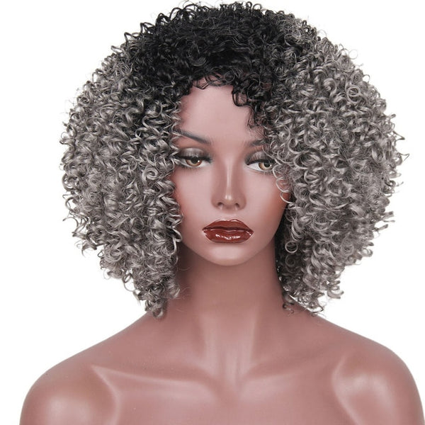 AISI HAIR High Temperature Fiber Mixed Brown and Blonde Color Synthetic Short Hair Afro Kinky Curly Wigs for  Women Black Hair