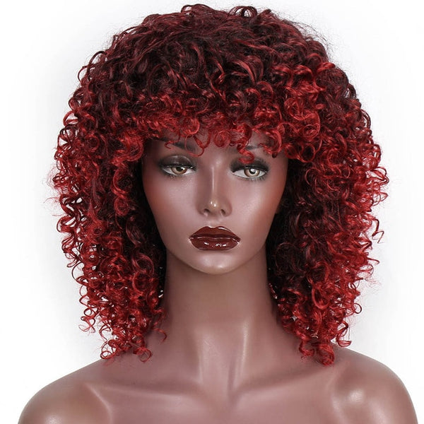 AISI HAIR Afro Kinky Curly Wig Synthetic Wigs for Women Black Natural Afro Hair Free Shipping