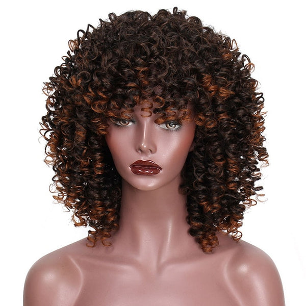 AISI HAIR Afro Kinky Curly Wig Synthetic Wigs for Women Black Natural Afro Hair Free Shipping