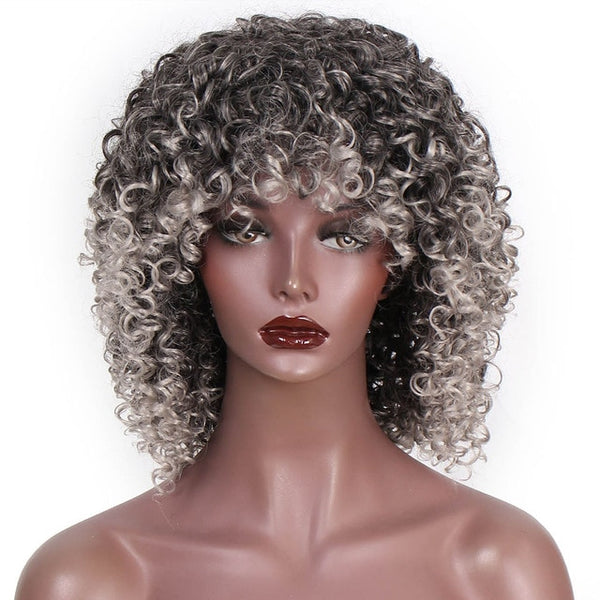 AISI HAIR Afro Kinky Curly Wig Synthetic Wigs for Women Black Natural Afro Hair Free Shipping