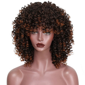 AISI HAIR Afro Kinky Curly Wig Mixed Brown and Ombre Blonde Synthetic Wig Natural Black Hair for Women Heat Resistant Hairs