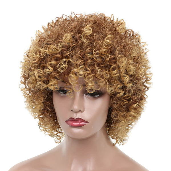 MISS WIG 16Inches Long Afro Kinky Curly Wigs for Black Women Blonde Mixed Brown Synthetic Wigs African Hairstyle Heat Resistant