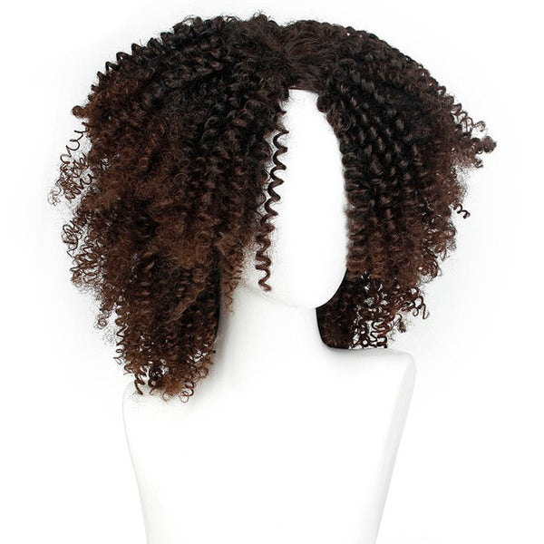 AISI HAIR High Temperature Fiber Mixed Brown and Blonde Color Synthetic Short Hair Afro Kinky Curly Wigs for  Women Black Hair