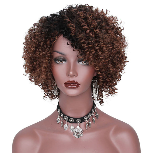 AISI HAIR High Temperature Fiber Mixed Brown and Blonde Color Synthetic Short Hair Afro Kinky Curly Wigs for  Women Black Hair