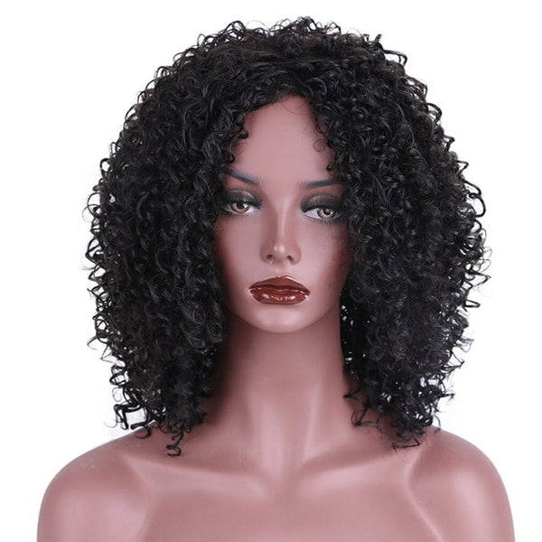 AISI HAIR Afro Kinky Curly Wig Synthetic Wigs for Women Black Natural Afro Hair Free Shipping