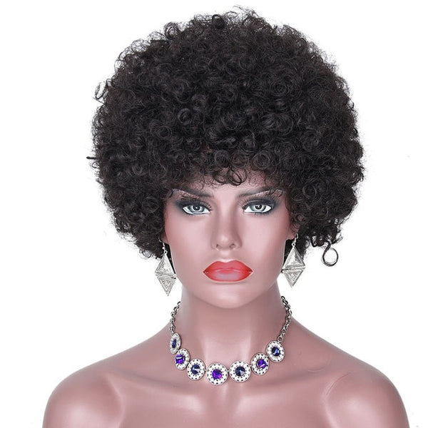 AISI HAIR Afro Kinky Curly Wig Synthetic Wigs for Women Black Natural Afro Hair Free Shipping